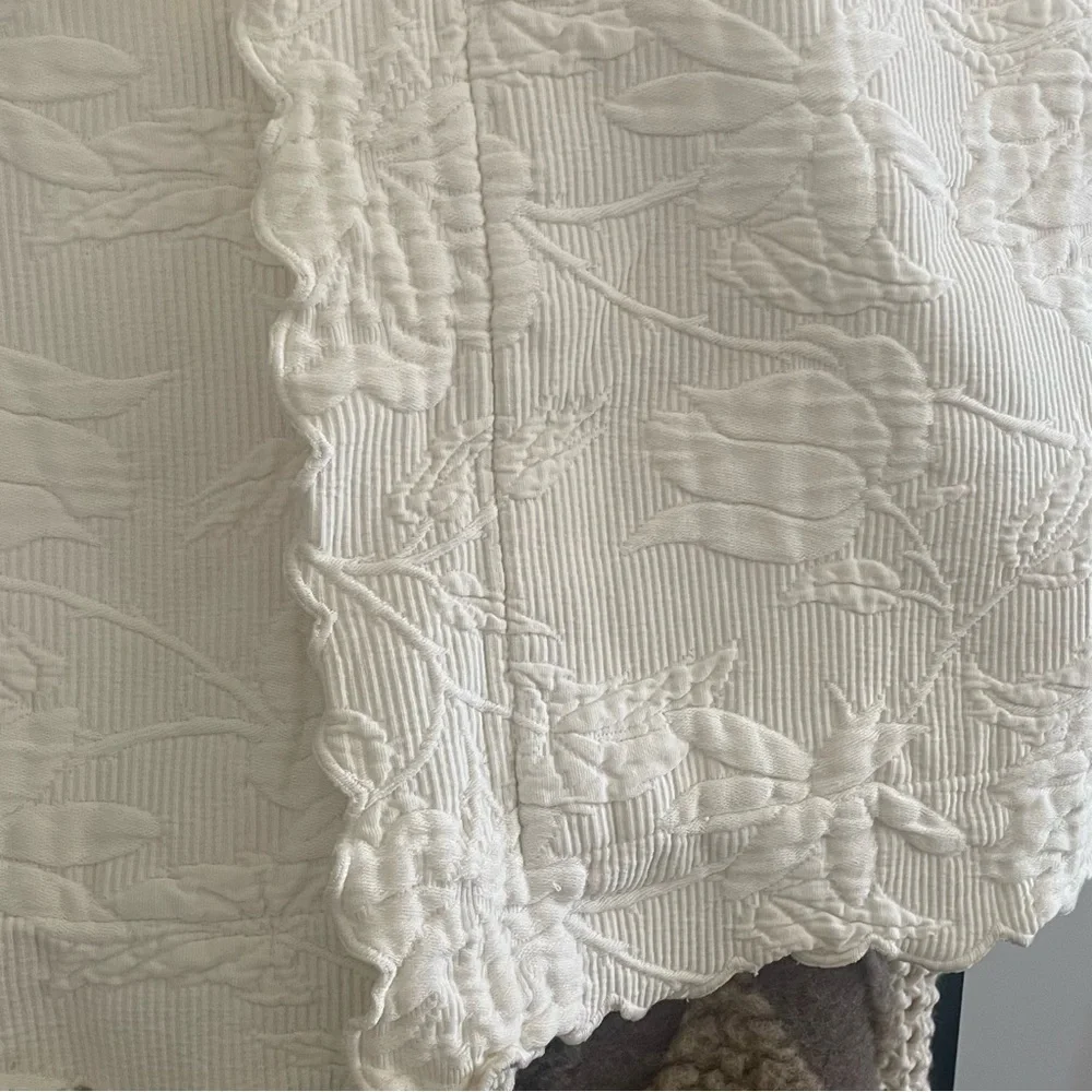 Peacock Alley Cream Scalloped Edge 2/  Pillow Shams